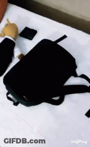 A Black Backpack Is On A Bed Next To A Stuffed Animal In A Suit GIF