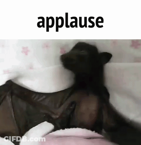 A Black Bat Is Laying On A Bed With The Word Applause Written Above It . GIF