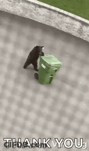 A Black Bear Is Standing Next To A Green Trash Can And Says `` Thank You '' . GIF