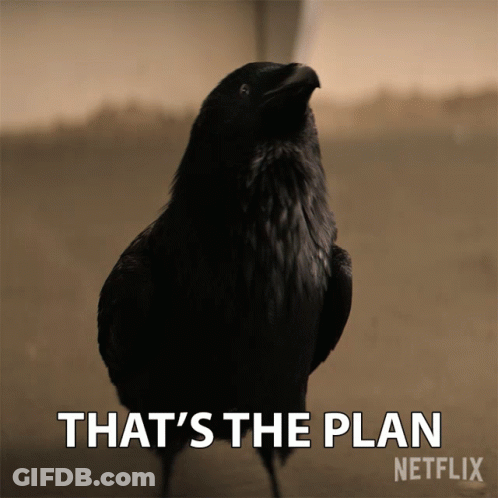 A Black Bird Is Standing Next To The Words That 'S The Plan GIF