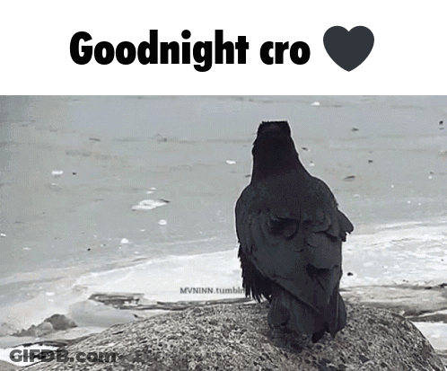 A Black Bird Sitting On A Rock With The Words " Goodnight Cro " Below It GIF