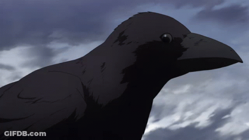 A Black Bird With A Large Beak Is Looking At The Camera GIF