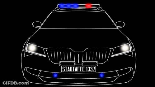 A Black Car With A License Plate That Says Stadtaffe 1337 GIF