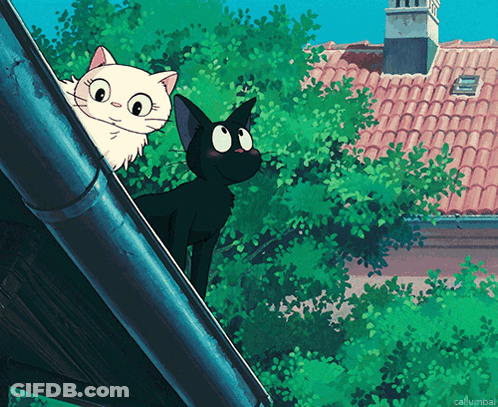 Black And White Cats On Roof With Callumbal Text GIF