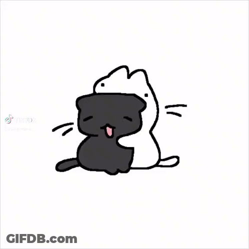 A Black Cat And A White Cat Are Sitting Next To Each Other On A White Background . GIF