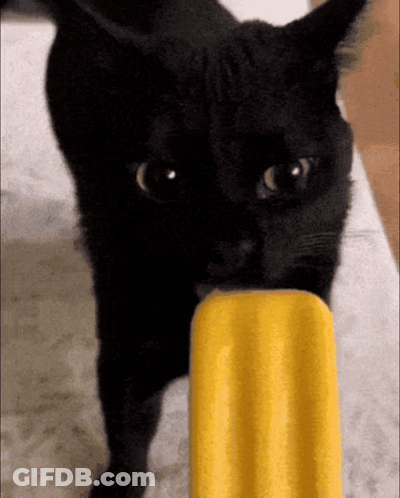A Black Cat Eating A Yellow Popsicle On A Bed GIF