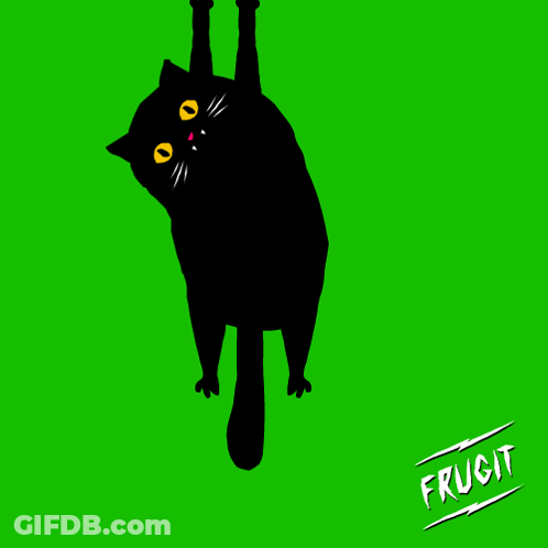 A Black Cat Hanging Upside Down On A Green Background GIF
