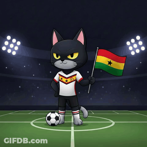 A Black Cat Holding A Flag And A Soccer Ball GIF