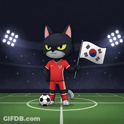 A Black Cat Holding A Korean Flag And A Soccer Ball On A Field GIF