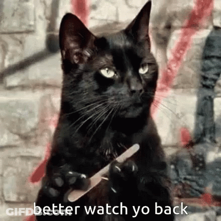 A Black Cat Holding A Nail File With The Words Better Watch Yo Back Below It GIF