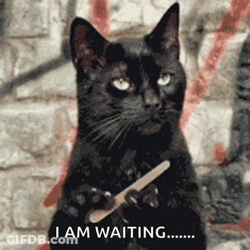 A Black Cat Holding A Nail File With The Words I Am Waiting Behind It GIF