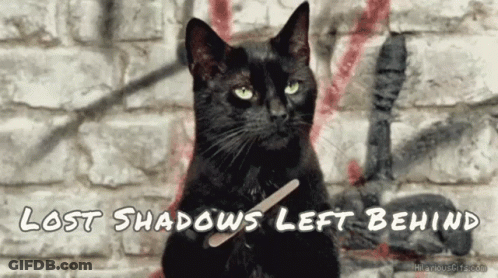 A Black Cat Holding A Nail File With The Words Lost Shadows Left Behind GIF