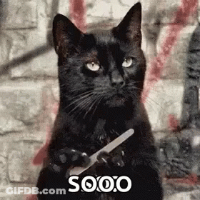 A Black Cat Holding A Pair Of Scissors In Its Paws . GIF
