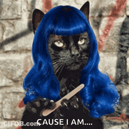 A Black Cat In A Blue Wig Is Holding A Nail File GIF