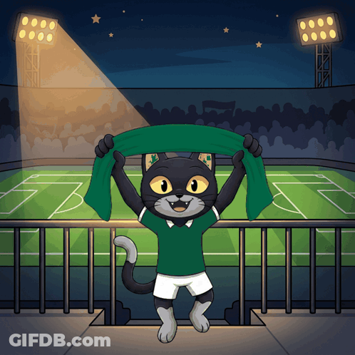 A Black Cat In A Green Shirt Is Holding A Green Scarf In Front Of A Soccer Field GIF