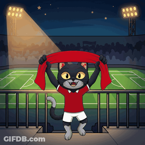 A Black Cat In A Red Shirt Is Holding A Red Scarf In Front Of A Soccer Field GIF