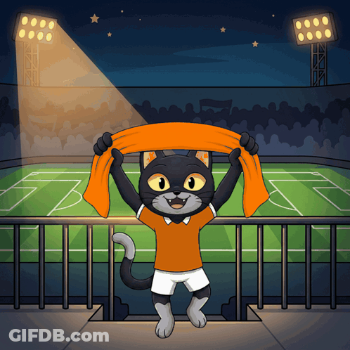A Black Cat In An Orange Shirt Is Holding An Orange Scarf GIF