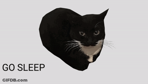A Black Cat Is Behind A Person Holding A Gun And The Word Now Is Below It GIF