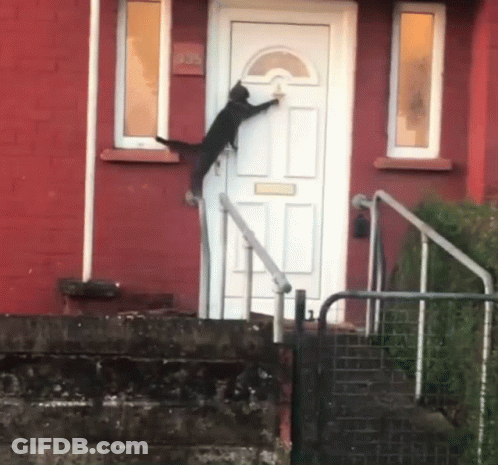 A Black Cat Is Climbing Up A White Door GIF
