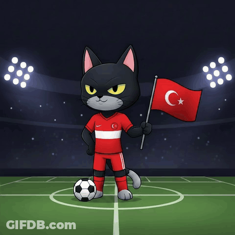 A Black Cat Is Holding A Flag And A Soccer Ball On A Field GIF