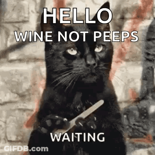 A Black Cat Is Holding A Knife And Fork In Its Paws And Says Hello Wine Not Peeps Waiting . GIF