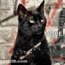A Black Cat Is Holding A Knife In Its Paw . GIF