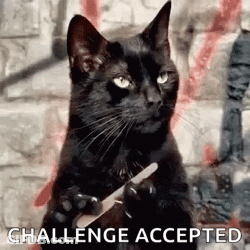 A Black Cat Is Holding A Knife In Its Paws And Says `` Challenge Accepted '' . GIF