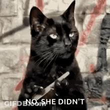 A Black Cat Is Holding A Knife In Its Paws And Says No , She Didn 'T . GIF