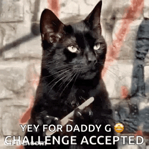 Black Cat Holding Knife Says Yey For Daddy G GIF