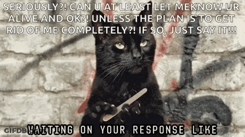 A Black Cat Is Holding A Nail Clipper In Its Paws And Says Seriously ? GIF
