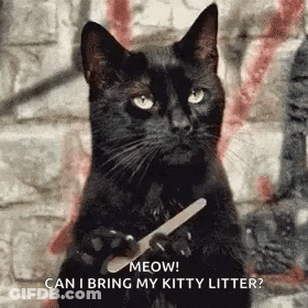 A Black Cat Is Holding A Nail File In Front Of A Brick Wall . GIF
