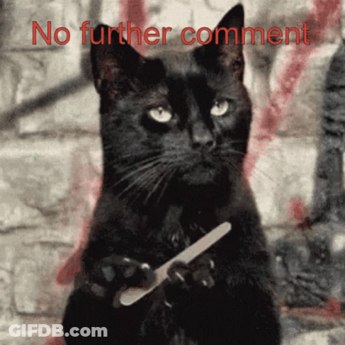 A Black Cat Is Holding A Nail File In Front Of A Brick Wall With The Words No Further Comment Above It GIF