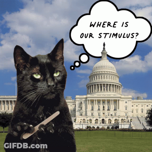A Black Cat Is Holding A Nail File In Front Of The Capitol Building With A Thought Bubble Asking Where Is Our Stimulus GIF