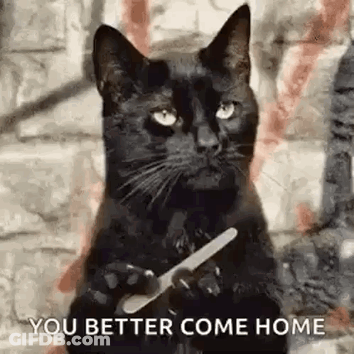A Black Cat Is Holding A Nail File In Its Paw . GIF