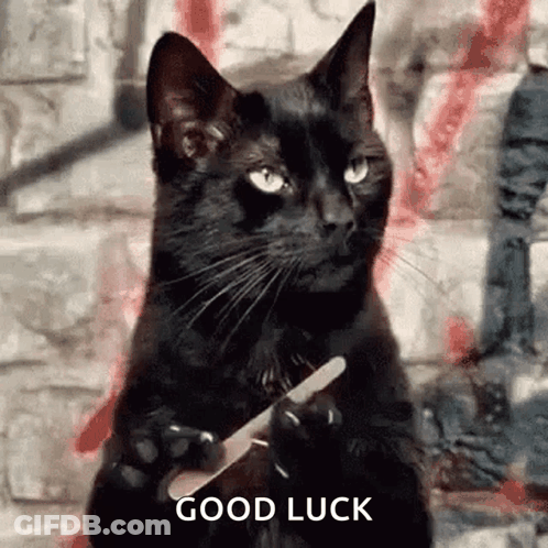 A Black Cat Is Holding A Nail File In Its Paw And Says `` Good Luck '' . GIF