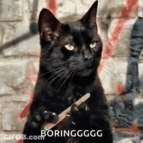 A Black Cat Is Holding A Nail File In Its Paw GIF