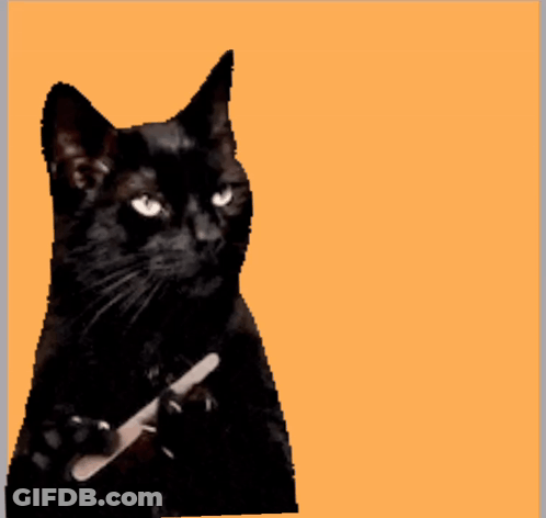 A Black Cat Is Holding A Nail File In Its Paw GIF