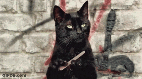 A Black Cat Is Holding A Nail File In Its Paws Against A Brick Wall GIF