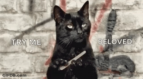 A Black Cat Is Holding A Nail File In Its Paws And A Brick Wall In The Background . GIF