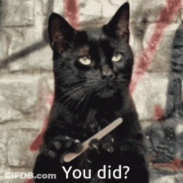 A Black Cat Is Holding A Nail File In Its Paws And Asking You Did GIF