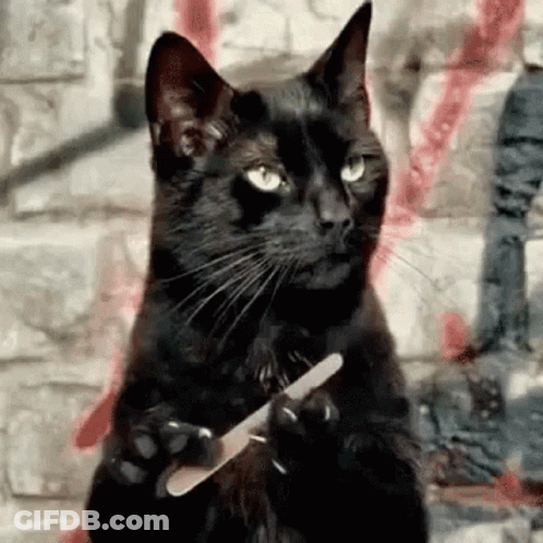 A Black Cat Is Holding A Nail File In Its Paws And Looking At The Camera . GIF