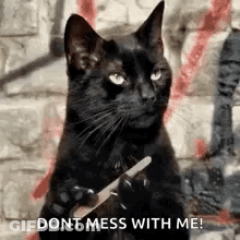 A Black Cat Is Holding A Nail File In Its Paws And Saying `` Dont Mess With Me '' . GIF