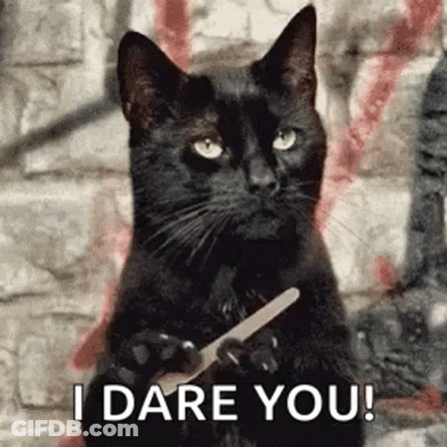 A Black Cat Is Holding A Nail File In Its Paws And Saying `` I Dare You ! '' GIF