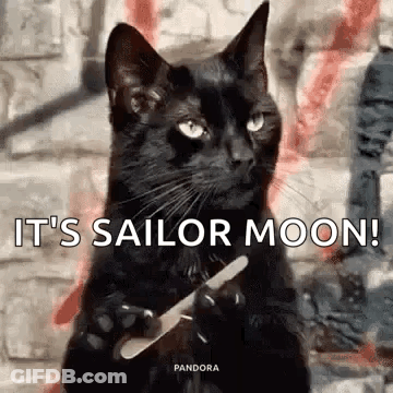 A Black Cat Is Holding A Nail File In Its Paws And Saying `` It 'S Sailor Moon ! '' GIF