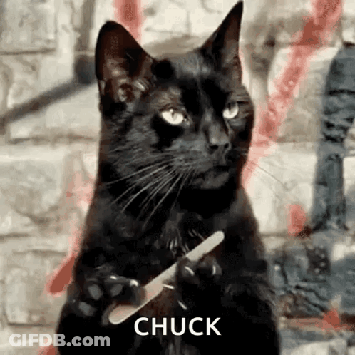 A Black Cat Is Holding A Nail File In Its Paws And Says Chuck . GIF