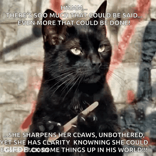 A Black Cat Is Holding A Nail File In Its Paws And Says Hmmm GIF