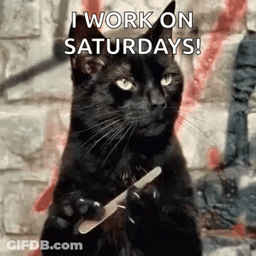 A Black Cat Is Holding A Nail File In Its Paws And Says `` I Work On Saturdays '' . GIF