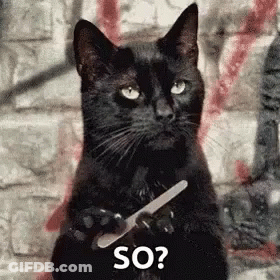 A Black Cat Is Holding A Nail File In Its Paws And Says `` So '' . GIF