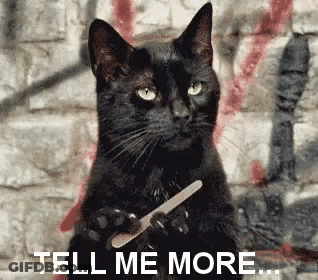 A Black Cat Is Holding A Nail File In Its Paws And Says Tell Me More . GIF