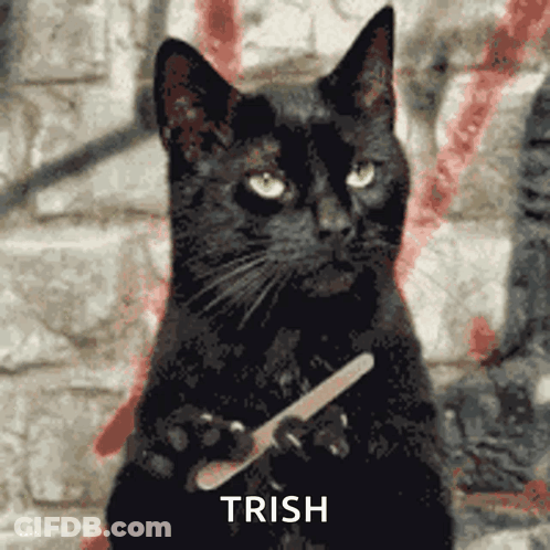 A Black Cat Is Holding A Nail File In Its Paws And The Word Trish Is Above It GIF